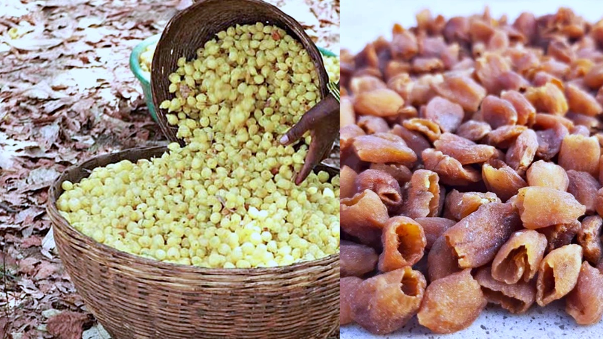 mahua flower benefits