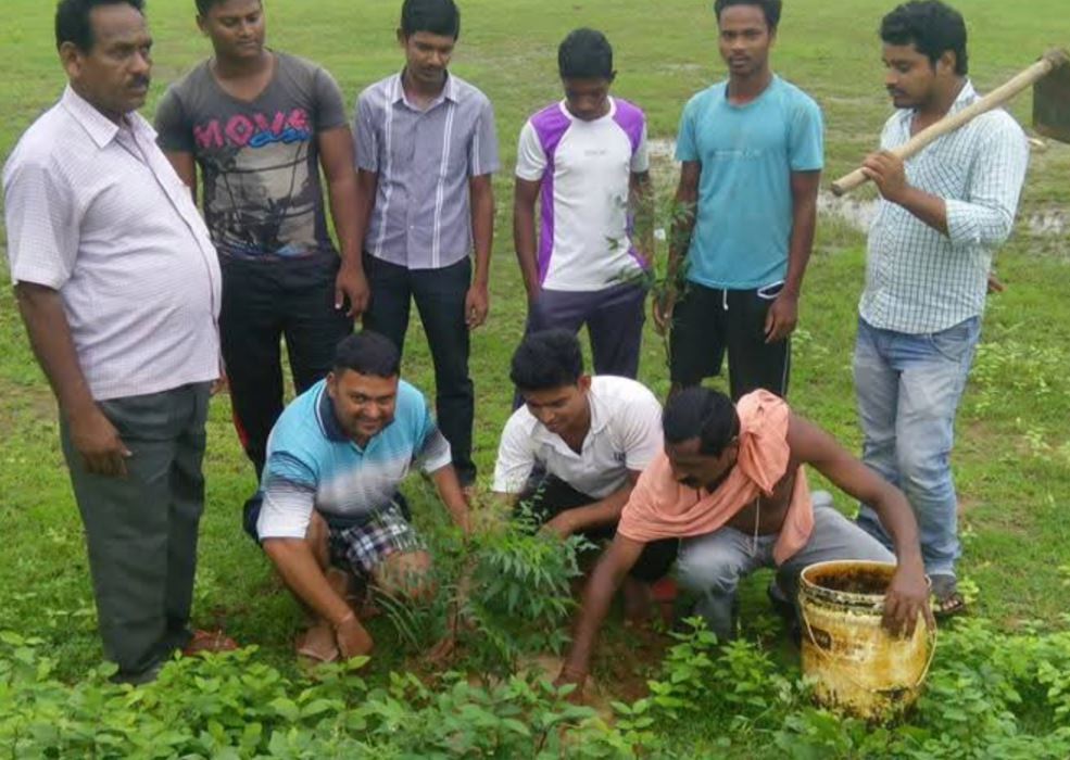 Plantation By Sanjay