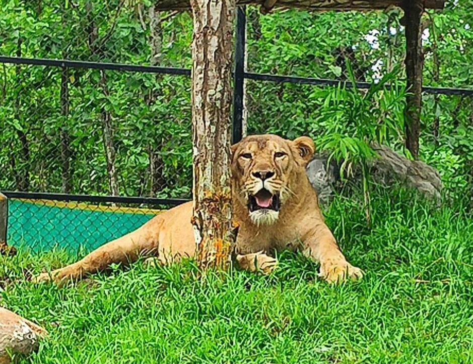 10 YEARS OF BENGAL SAFARI PARK