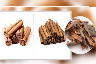 Does the cinnamon you eat come from China? Be careful! And find out this way