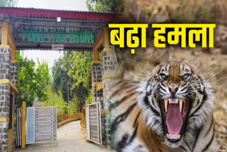 WILD ANIMALS ATTACK CHHINDWARA