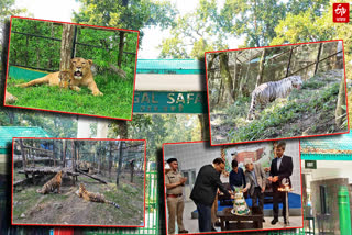 10 YEARS OF BENGAL SAFARI PARK