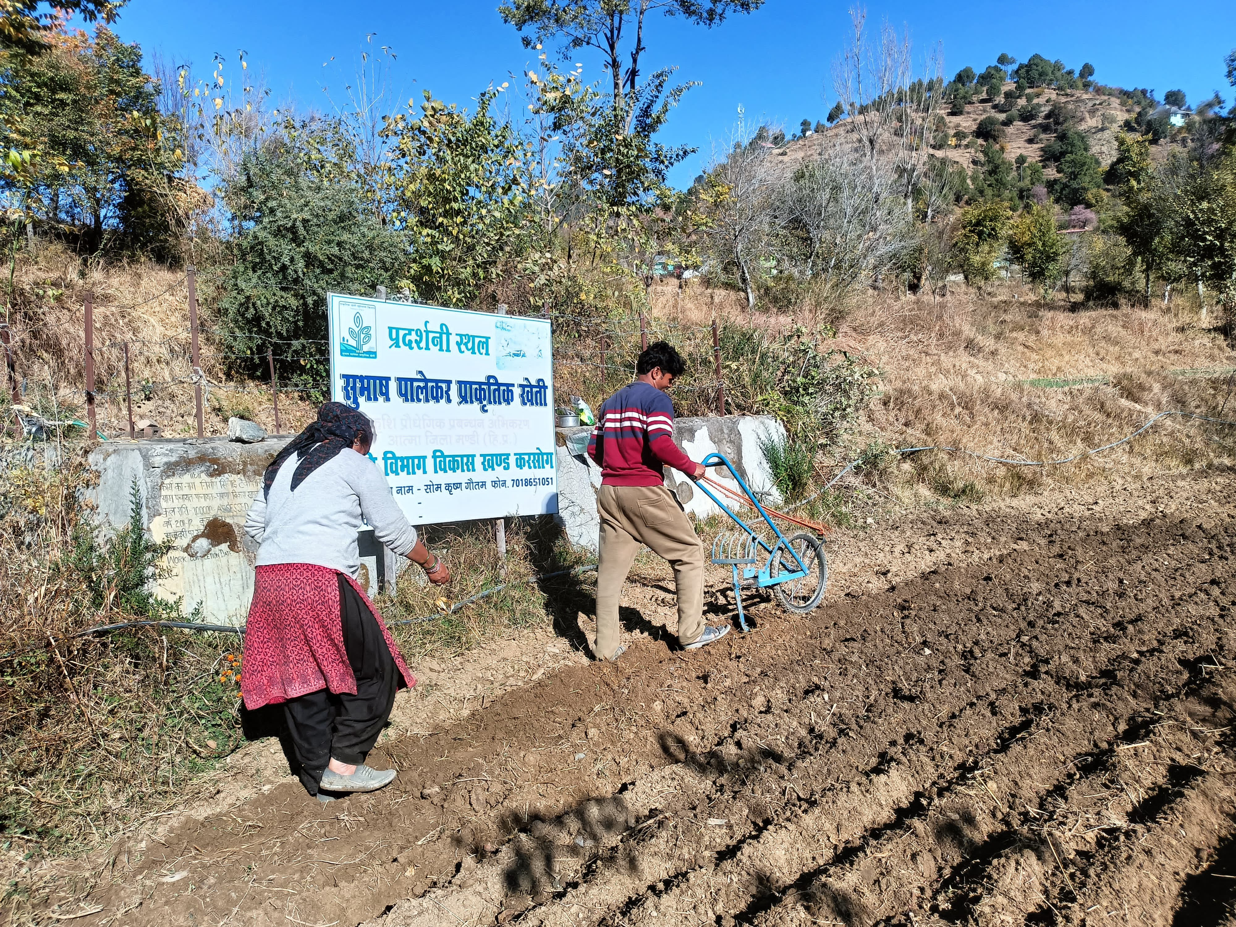 हिमाचल में प्राकृतिक खेती अपना रहे किसान