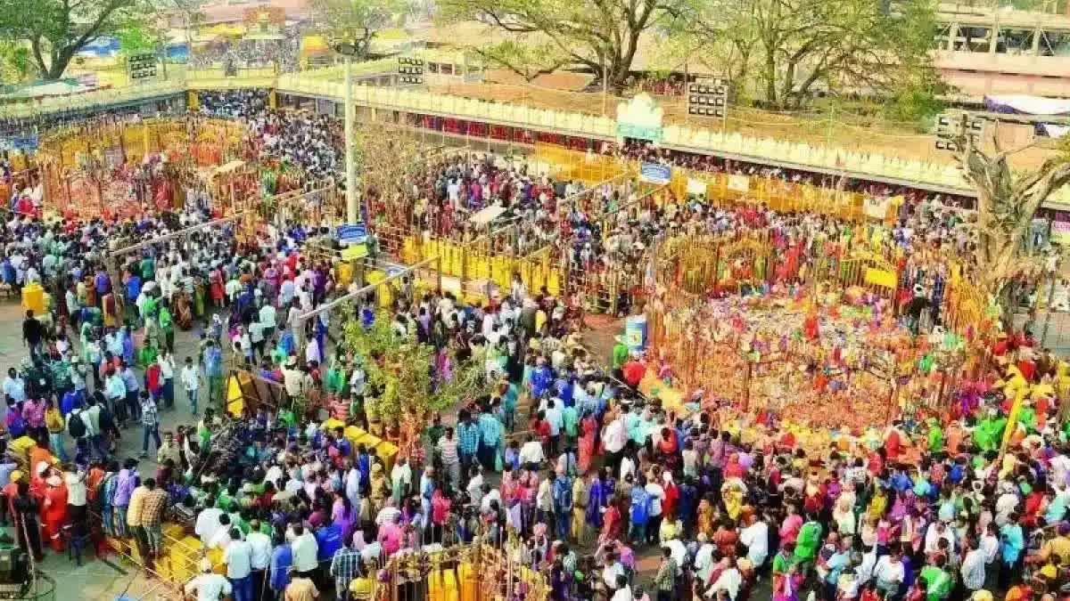 Sammakka Saralamma Jatara