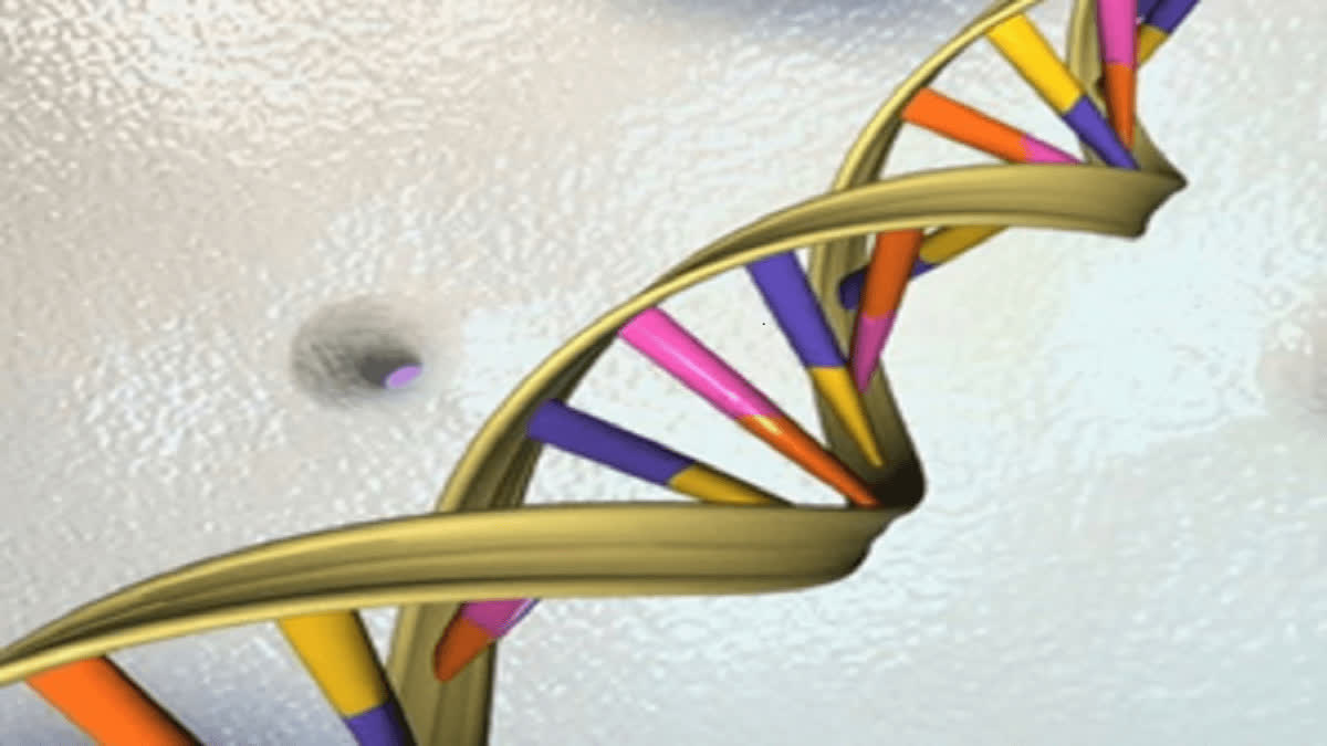 Researchers identify 275 mn new genetic variants: Study