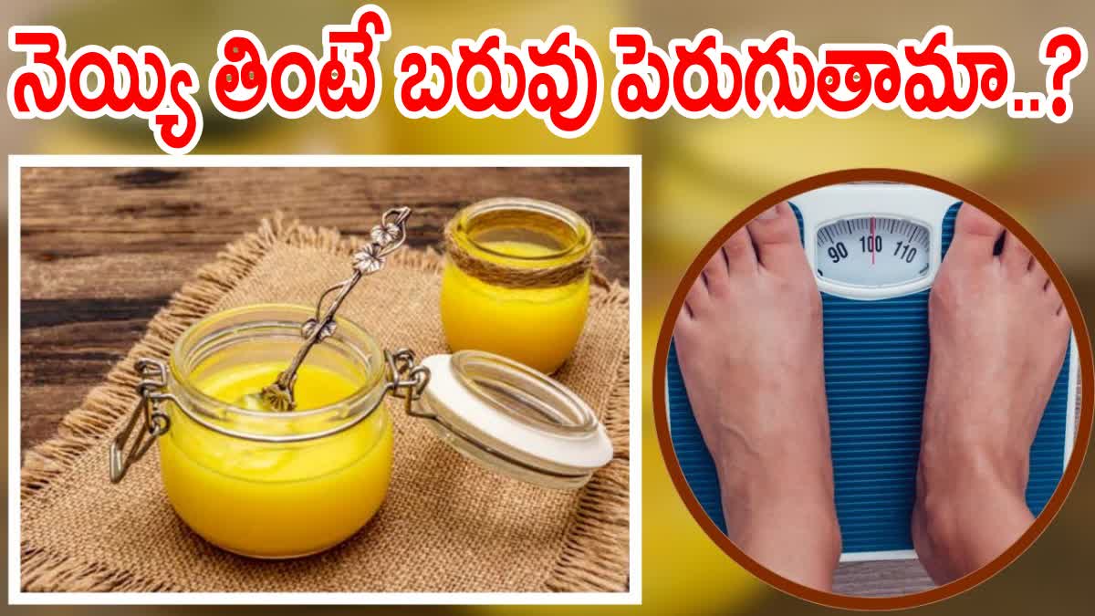 Does Eating Ghee Increase Fat