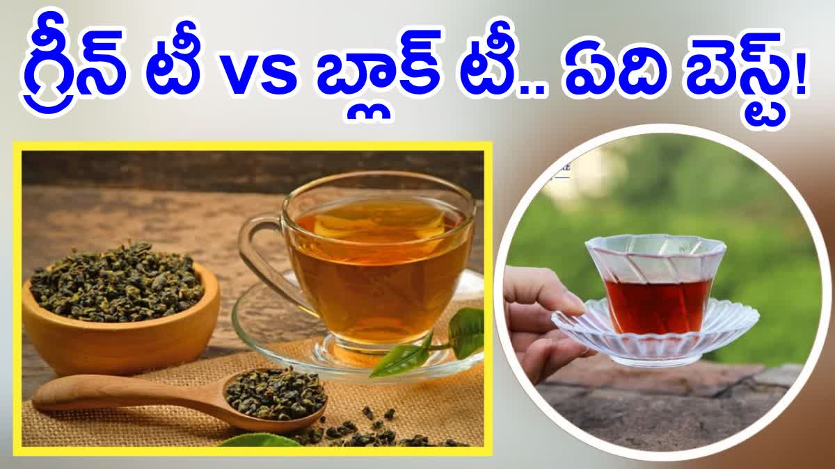 Green Tea Vs Black Tea Which Is Better