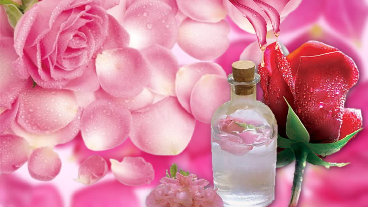 Home Made Rose Water News