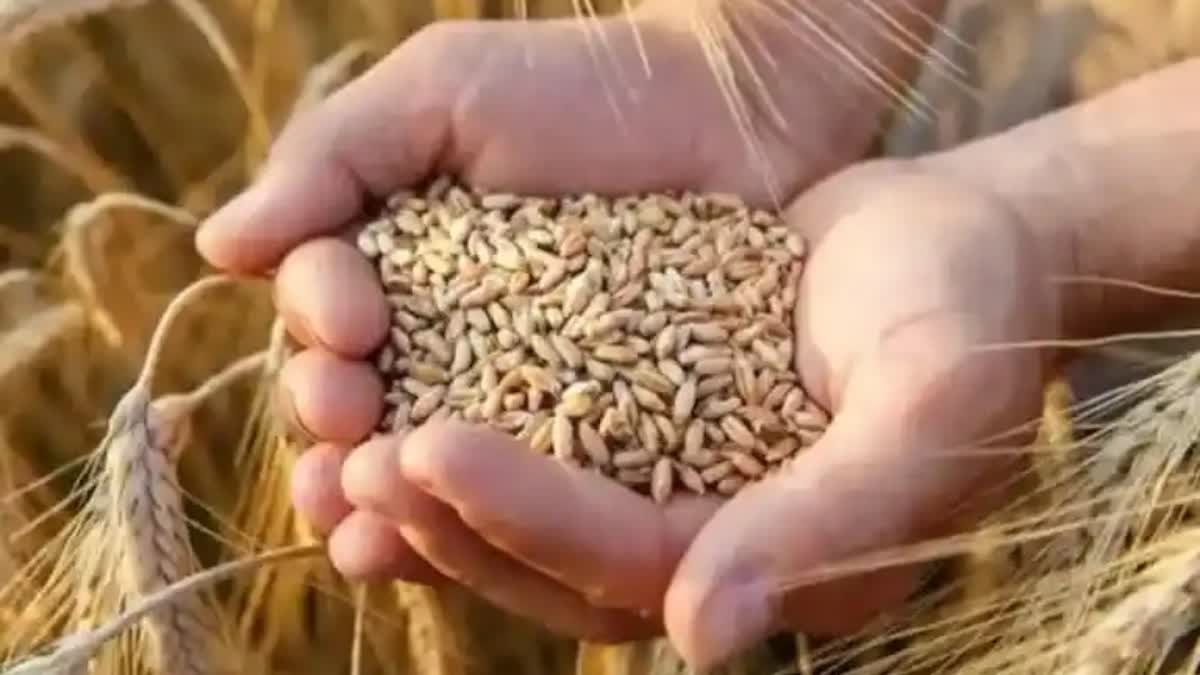 Impact of climate change on crops