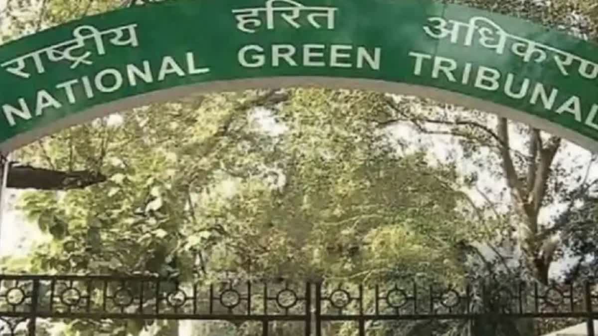 NGT directs,  State Pollution Control Board