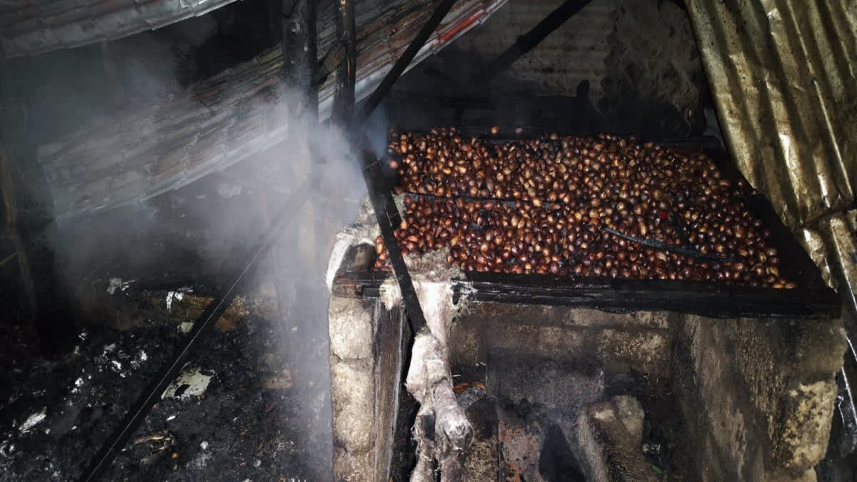 shed caught fire in Adimali  fire in Adimali Idukki  അടിമാലിയില്‍ ഷെഡിന് തീപിടിച്ചു  തീപിടുത്തം