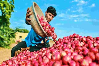 Onion Export Ban