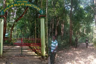 Forest watchers kerala  Forest watchers  താത്കാലിക ഫോറസ്റ്റ് വാച്ചര്‍മാര്‍  ഫോറസ്റ്റ് വാച്ചര്‍മാര്‍ക്ക് അവഗണന  ഫോറസ്റ്റ് വാച്ചര്‍മാര്‍