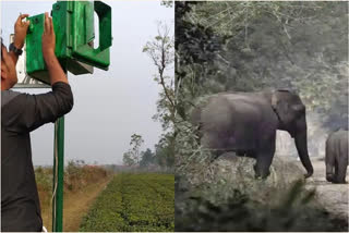 A device to save elephants from train collisions has fetched excellent results in West Bengal following which the authorities have decided to use it at other locations as well.