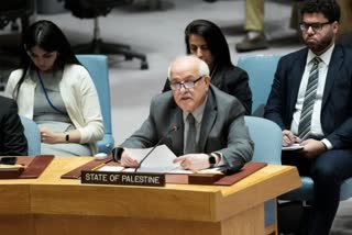 Palestine slams US ceasefire veto at UN Security Council