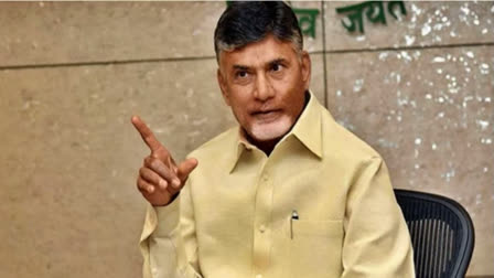 Chandrababu Naidu, File photo