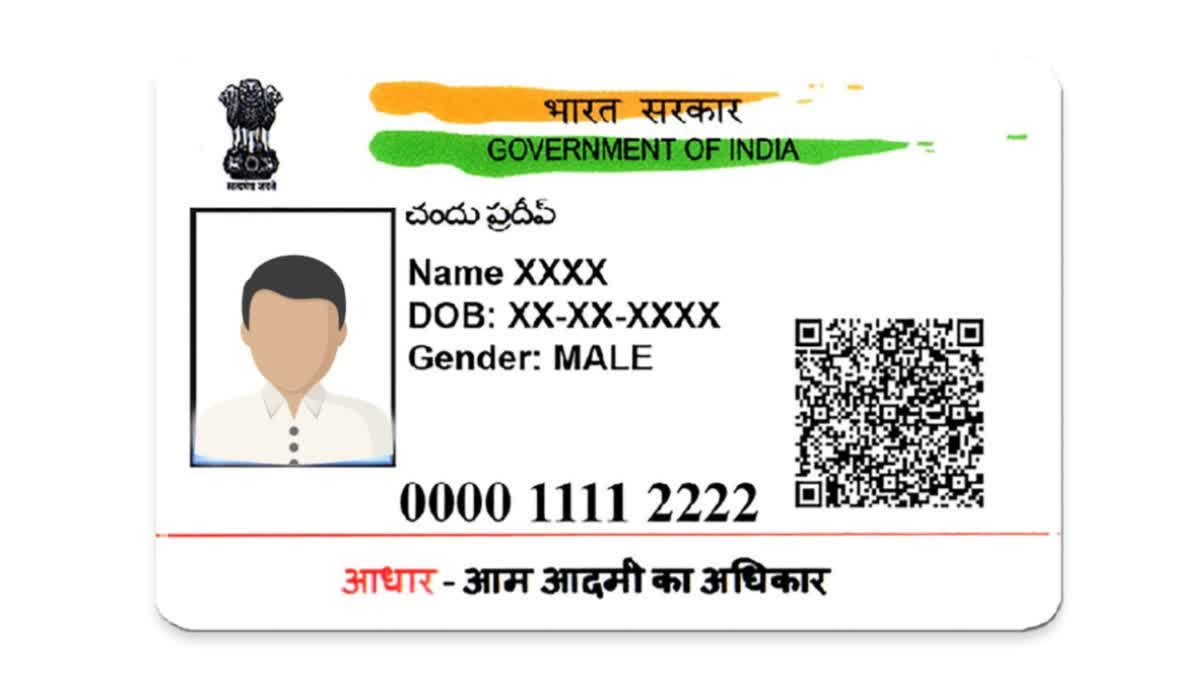 AADHAAR VIRTUAL ID