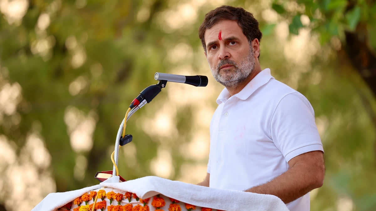 In this image released by @INCIndia via X on Thursday, Feb. 20, 2025, LoP in the Lok Sabha and Congress leader Rahul Gandhi addresses a public meeting, at Shankarpur in Rae Bareli, Uttar Pradesh.