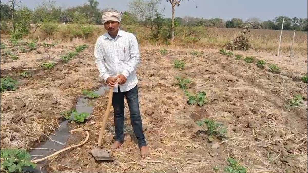 School Teacher Works As Labourer