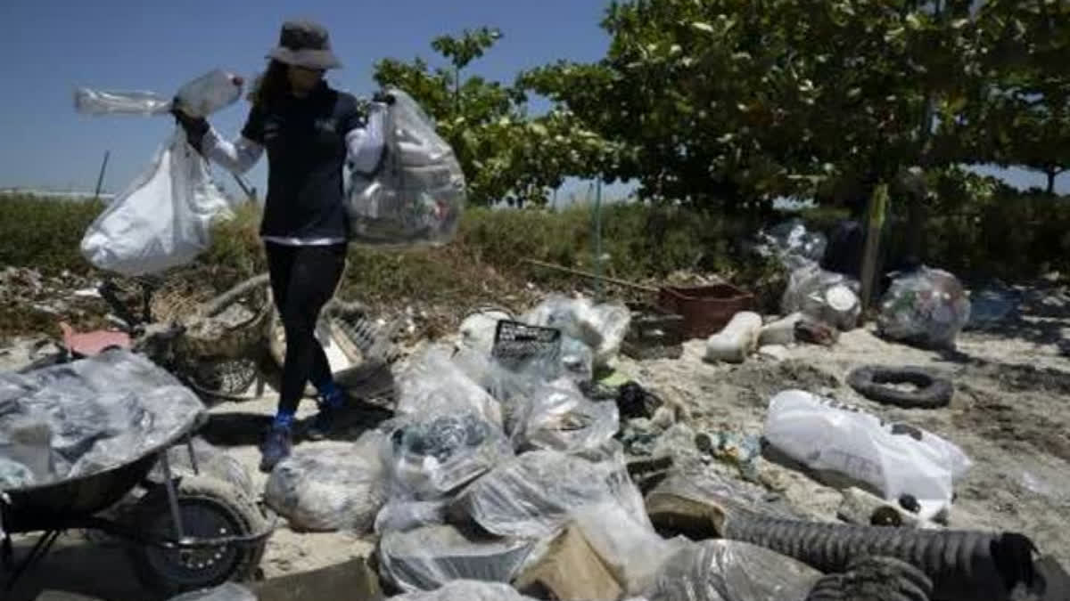 Brazilian Olympic champion sailor Martine Grael collects garbage accumulated on the beaches of Pombeba Island in Guanabara Bay, Rio de Janeiro, Brazil, on February 17, 2025.