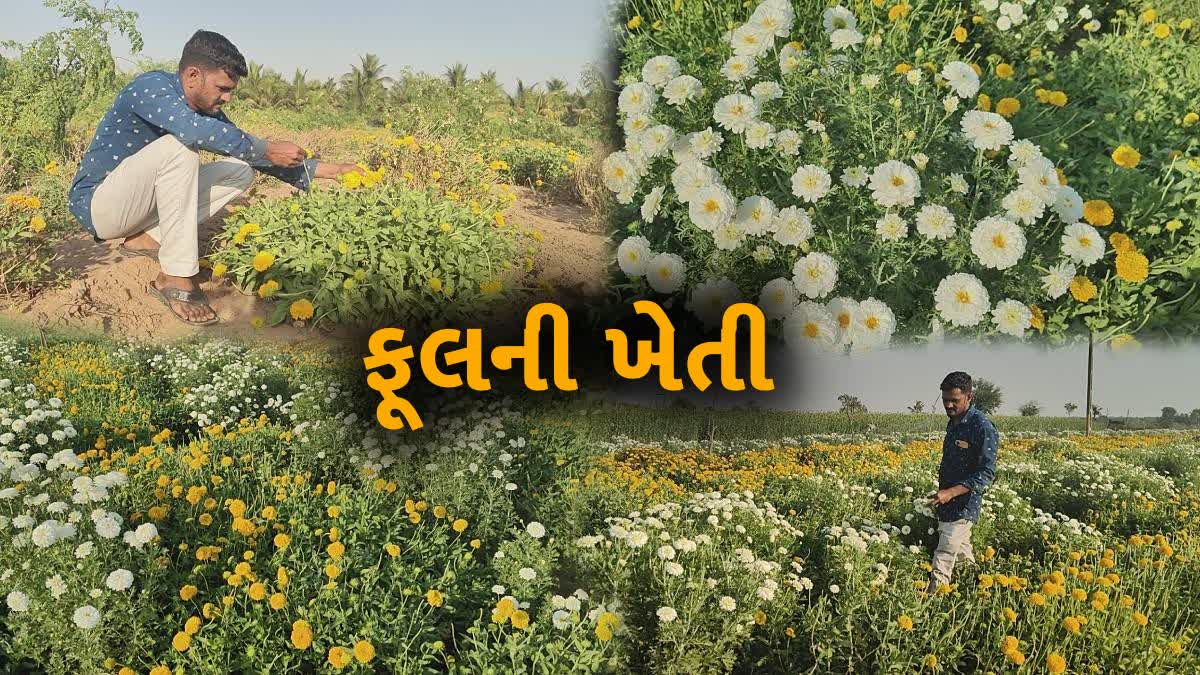 જાફરાબાદનો વિકાસશીલ ખેડૂત દરિયા કાંઠાના વિસ્તારમાં કરી રહ્યો છે ફૂલોની ખેતી