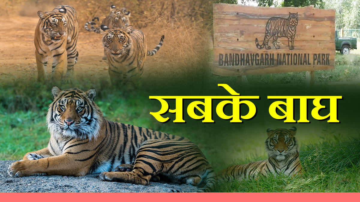 BANDHAVGARH TIGER RESERVE