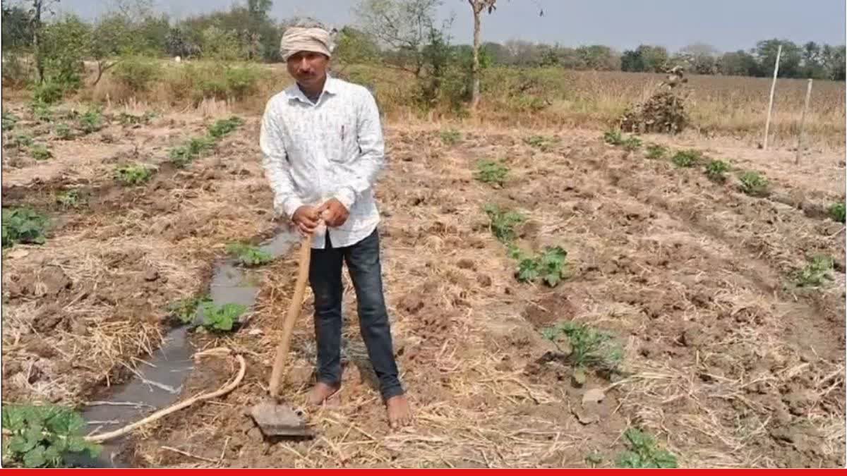 TEACHER WORKS AS LABOURER