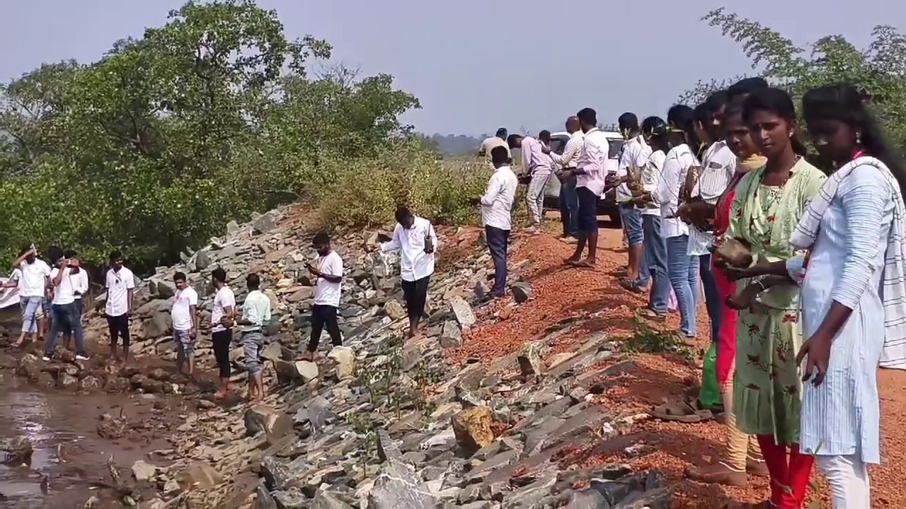 KARWAR  UTTARA KANNADA  ಕಾಂಡ್ಲಾ ಗಿಡಗಳ ಅಭಿವೃದ್ಧಿ  AGHANASHINI RIVER