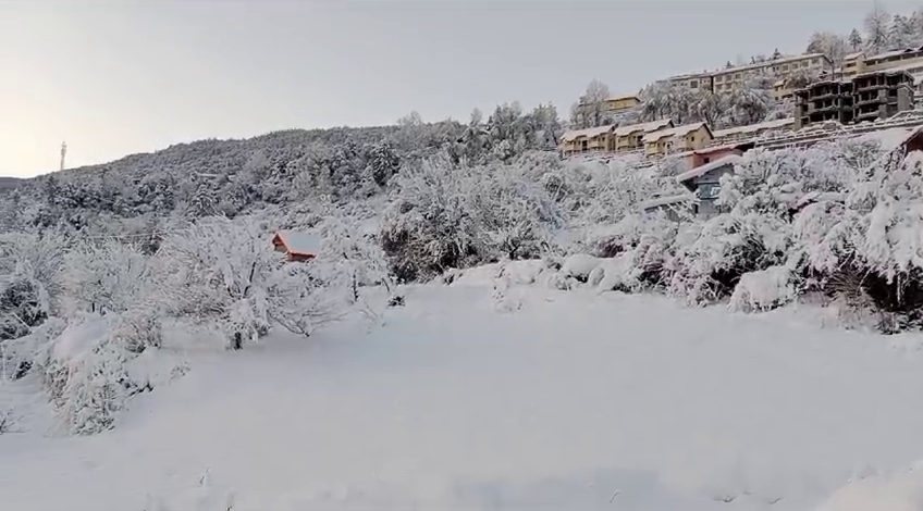 Snowfall in Auli