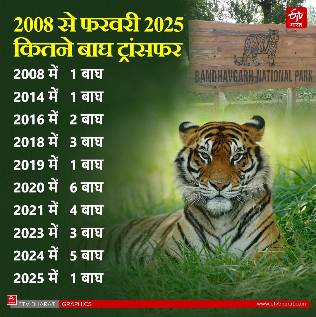 Umaria Bandhavgarh Tiger Reserve