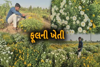 જાફરાબાદનો વિકાસશીલ ખેડૂત દરિયા કાંઠાના વિસ્તારમાં કરી રહ્યો છે ફૂલોની ખેતી