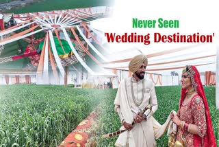 Farmers’ Protest Inspires NRI Couple’s Unconventional Wedding In Punjab Fields