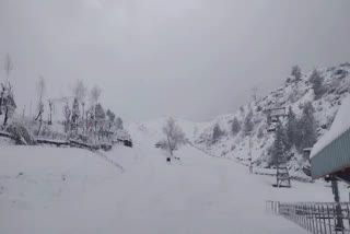 Snowfall in Auli