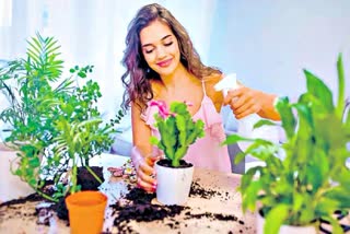 Career Growth in Floriculure in India