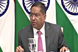 MEA Spokesperson Randhir Jaiswal