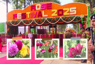 53rd Annual Rose Festival Begins In Chandigarh, With Nearly 50,000 Plants On Display