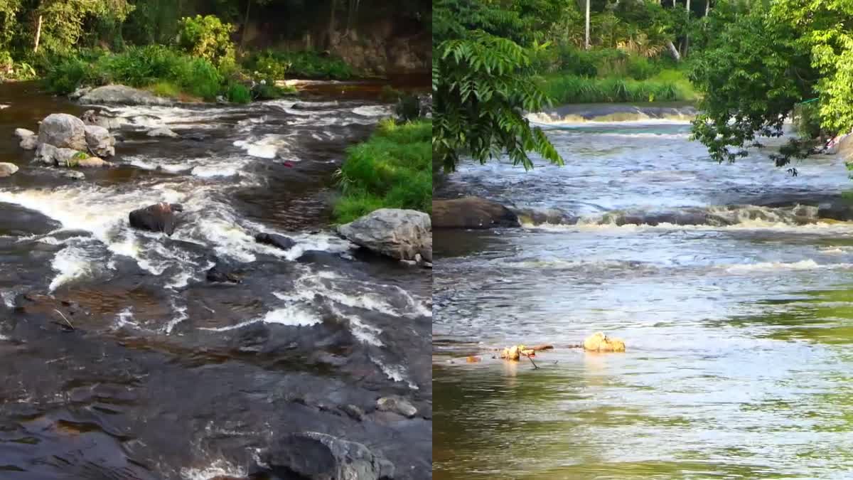 PANNIYAR RIVER  RIVER IN IDUKKI  PANNIYAR RIVER IN IDUKKI  RIVER