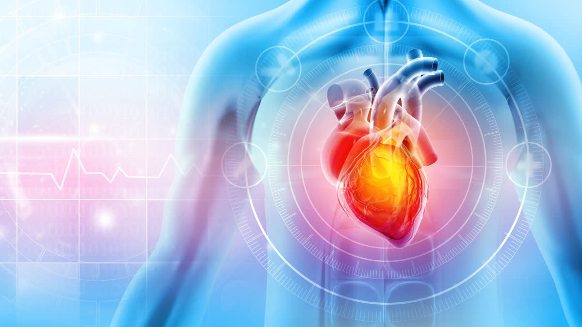 An analysis of over 20,000 adults found that people who limited their eating across less than 8 hours per day, a time-restricted eating plan, were more likely to die from cardiovascular disease compared to people who ate across 12-16 hours per day.