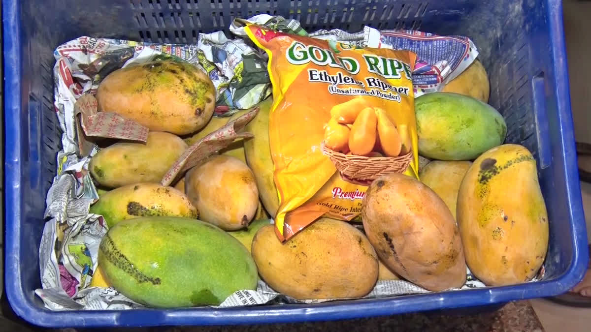 Vendors Using Chemicals To Ripen Mangoes