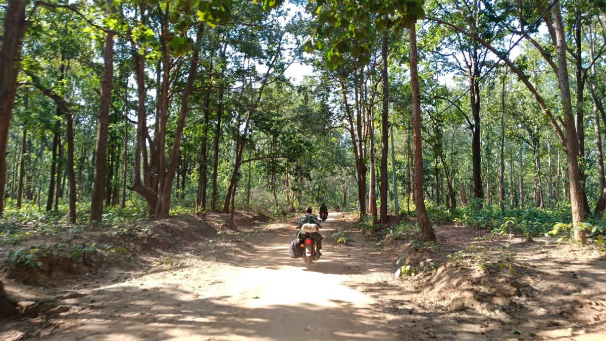 Hideouts of Naxalites identified on Bihar Jharkhand border