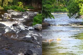 PANNIYAR RIVER  RIVER IN IDUKKI  PANNIYAR RIVER IN IDUKKI  RIVER