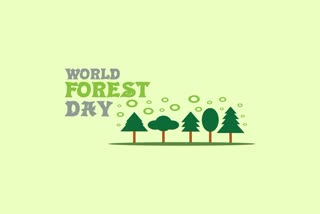 World Forest Day 2024: जागतिक वनदिन काय आहे महत्त्व आणि इतिहास