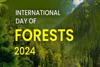 International Day of Forests 2024