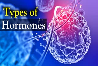 Hormones help in many functions of the body, their deficiency or excess can both be harmful