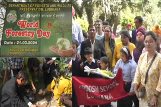 Ludhiana DC planted saplings with special children on World Forest Day, message given to people