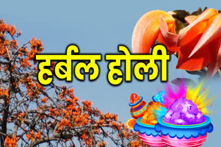 INDORE HERBAL COLORED HOLI