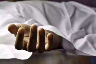 FOREIGN WOMAN DIES IN MANALI