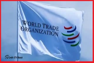 WTO ministerial Conferences