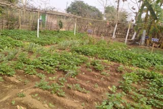 AUTOMATED RAIN GAUGE MACHINES