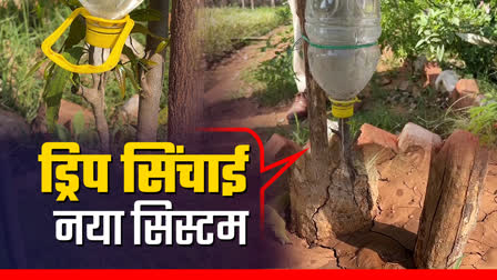 GWALIOR IRRIGATION DRIP SYSTEM